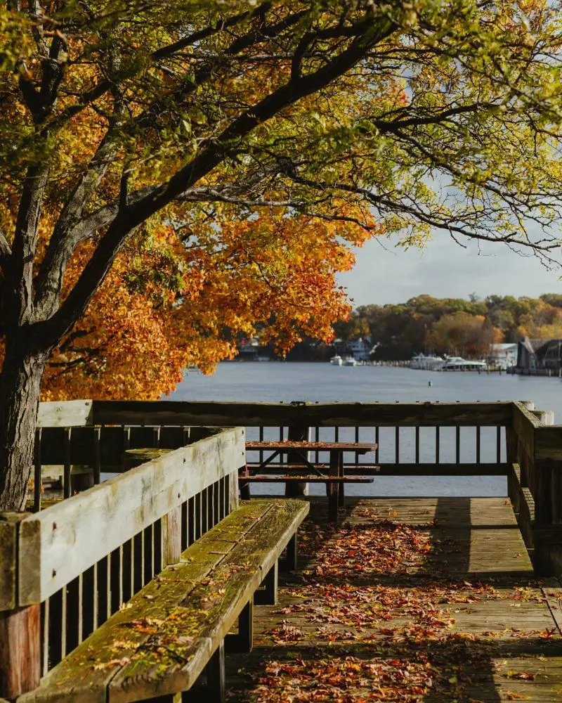 A true Magic Hour at Saugatuck. 