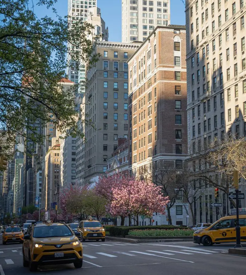 High rise buildings at Park Avenue.