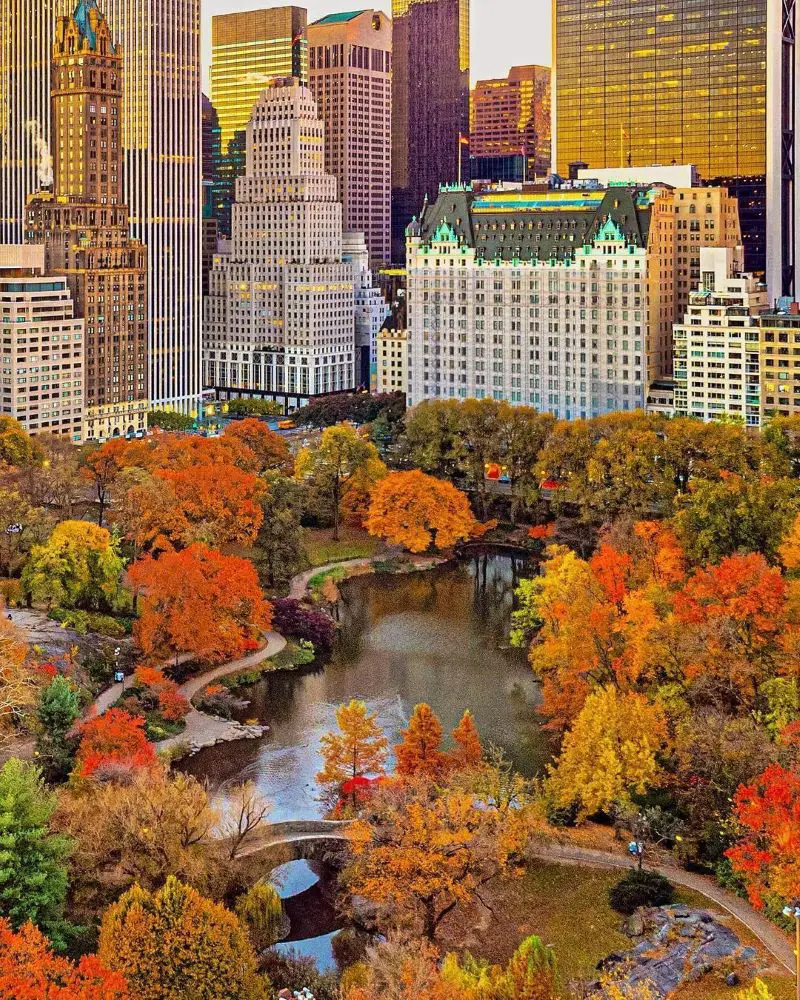 Across the lake in Central Park. (Photo By: Andy)