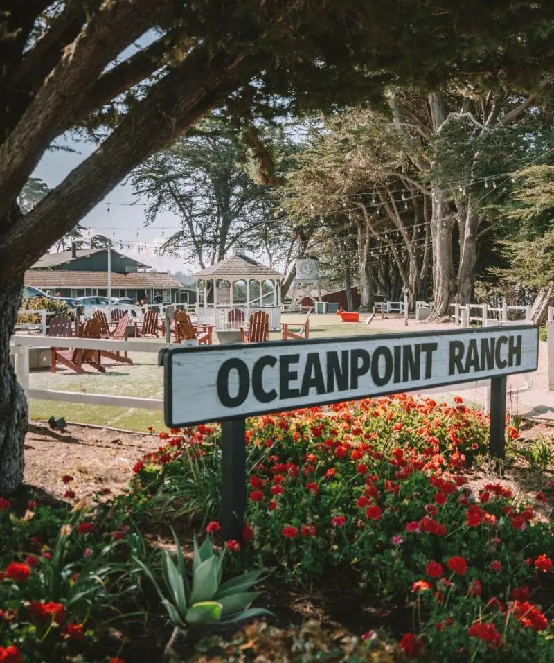 A woman takes a snap standing at the windmill bridge at Oceanpoint Ranch