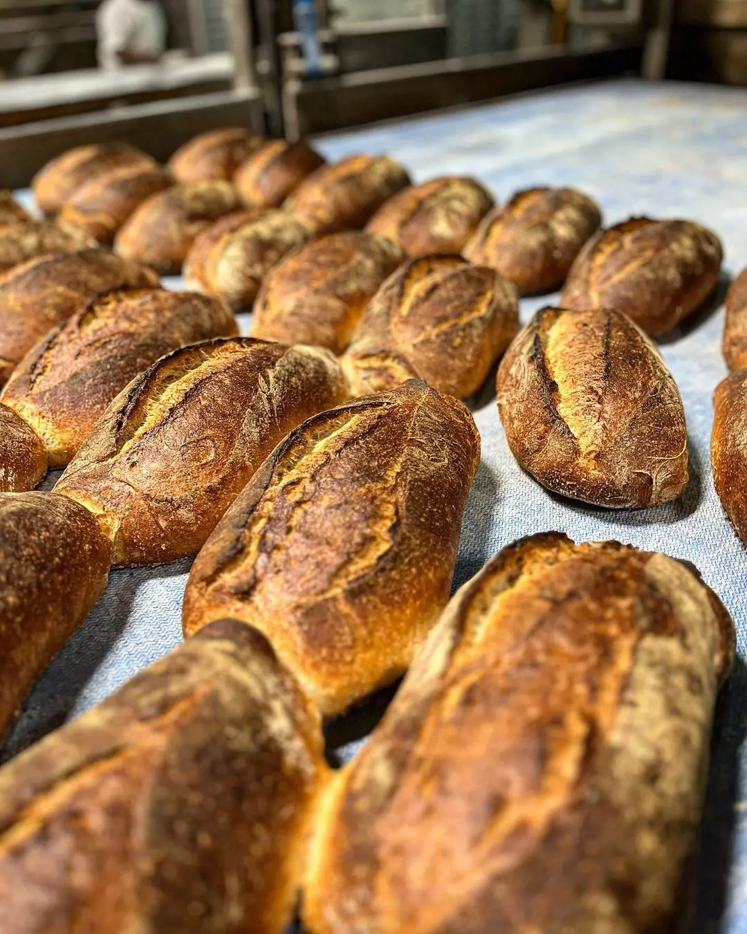 Freshly baked bread at Sullivan Street Bakery.